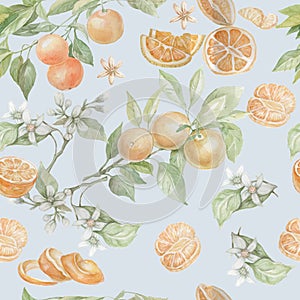 Orange fruit drawn in watercolor set separately on a white background juice leaves fruit exotic orange color photo