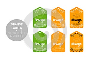 Orange fruit Eco labels vector set in green, orange colors.