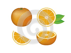 Fresh juicy orange citrus fruit icon set vector isolated on a white background