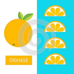 Orange fruit icon set. Slice in a row. Cut half. Healthy lifestyle food. Flat lay design. Pastel bright color. Top air view. White