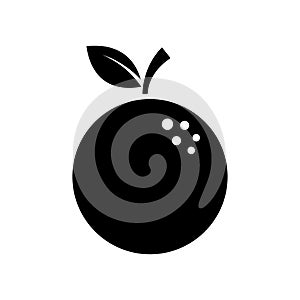 orange fruit icon vector design template in white background