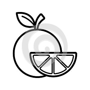 orange fruit icon vector design template in white background