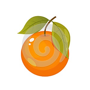 Orange fruit illustration