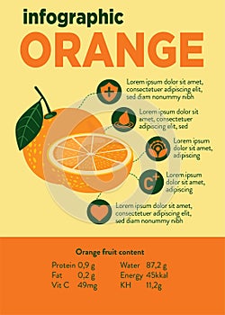 orange fruit info graphic template concept with four points list and icon symbol