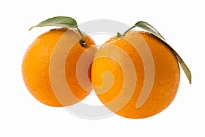 Orange fruit isolated