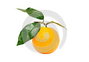 Orange fruit isolated on white