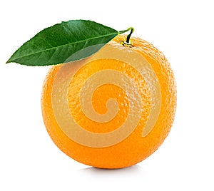 Orange fruit isolated on a white background.