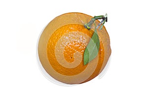 Orange fruit isolated on white. Background fresh orange. Amazing orange.