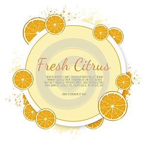Orange fruit label. Vector citrus banners
