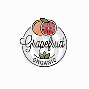Orange fruit logo. Round linear logo of orange