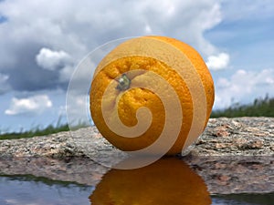 Orange fruit in the nature on a stone near water with a blue sky and clouds