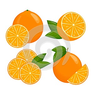 Orange fruit. Oranges that are segmented on a white background, juicy seasonal fruits, citrus. Vector illustration.