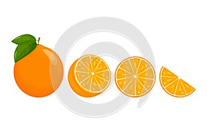 Orange fruit. Oranges that are segmented on a white background, juicy seasonal fruits, citrus. Vector illustration.