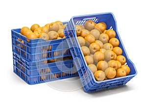 Orange fruit in plastic fruit crates isolated on white background