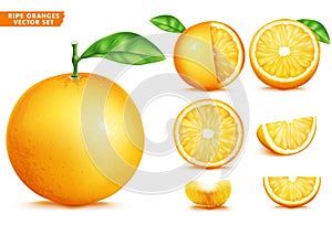 Orange Fruit Ripe Realistic 3D Vector Food Set. Whole Half and Sliced Version