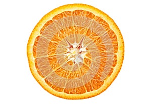 Orange fruit. Round slice isolated on white background. Top view