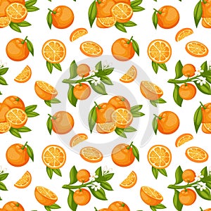 Orange fruit seamless pattern vector.
