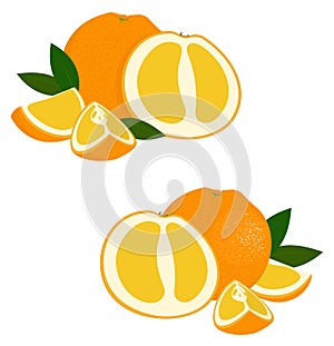 Orange fruit. Set of fresh whole and cut orange fruit and slices on white background. Citrus fruit. Raster illustration