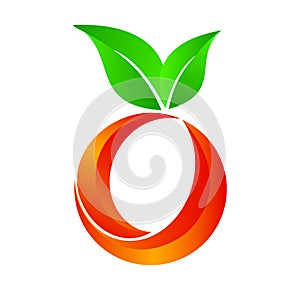 Orange fruit sphere logo icon on white background vector illustration