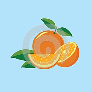 Orange fruit vector