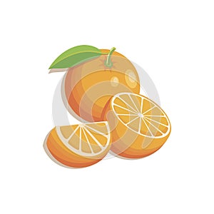 Orange fruit. Vector slices oranges that are segmented. Citrus illustration with leaves isolated