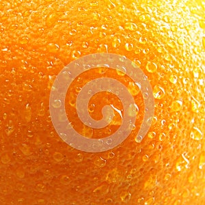 Orange fruit with water drops