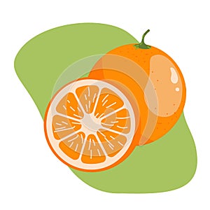 Orange fruit whole and slice juicy fresh cartoon orange bright colorful illustration