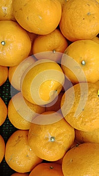 Orange fruits colony buah jeruk photo