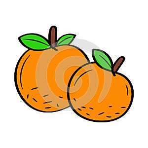 Orange Fruits with colored Hand drawn lineal doodle style