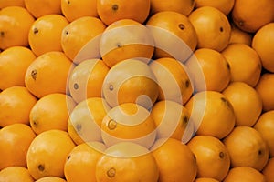 Orange Fruits Crop