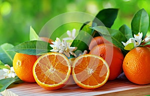 Orange fruits and flowers