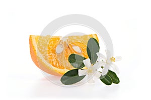 Orange fruits and Neroli essential oil isolated on a white background.