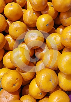 These are orange fruits stock photo image.