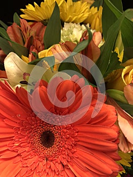 Orange gerbera daisy photobombing a floral picture