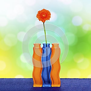 Orange gerbera flower in vase