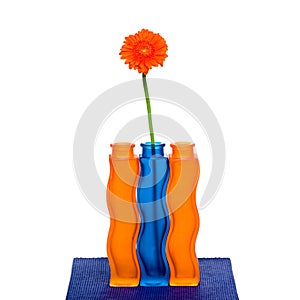 Orange gerbera flower in vase on white background