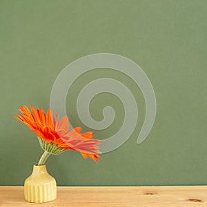 Orange gerbera flower in vase on wooden table with khaki background