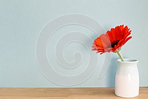 Orange gerbera flower on wooden table with sky blue background