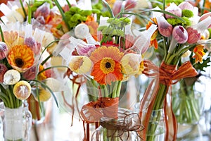 Orange Gerbera flowers