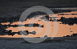 ORANGE GLOW OF WATER AT SUNSET