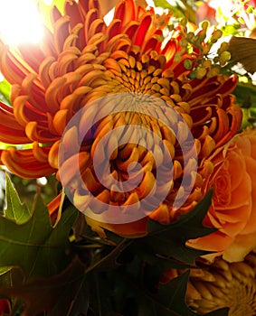 Orange glowing autumn bouquet