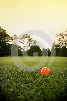 Orange Golf Ball in Grass at Twilight
