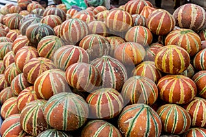 Orange Gord Vegetable in Delhi, India