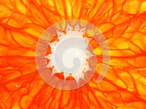 Orange grapefruit slice