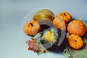 Orange and green decorative pumpkins, apples, nuts and fallen leaves in autumn harvest composition on trendy earth tones