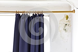 mold mildew fungus external wall