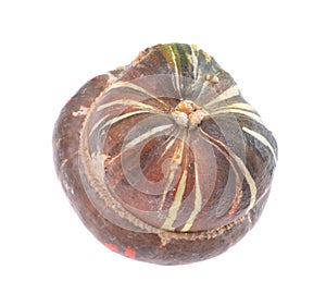 Orange-green ornamental pumpkin-Cucurbita turkbish turan isolated on white background. Fall harvest