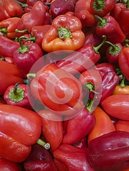 Orange, green and yellow sweet mix bell peppers close up bulgarian pepper fresh, assorted colorful capsicum paprika