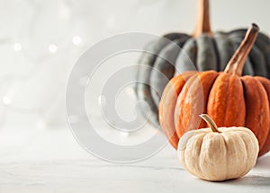 Orange grey and white pumpkins on the white background. Halloween background with bokeh lights