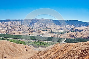 Orange Grove from Above